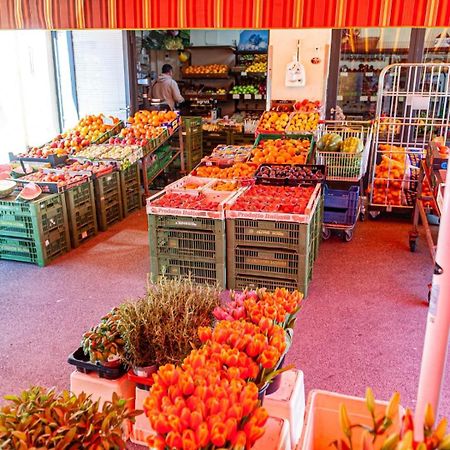 Vienna My City Apartment Garden View 외부 사진