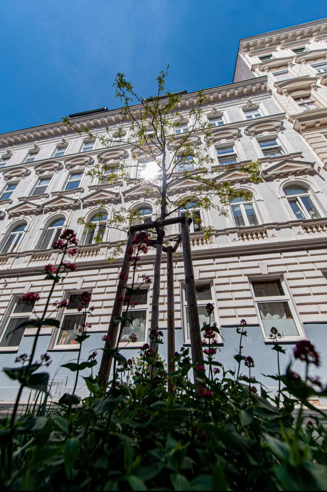 Vienna My City Apartment Garden View 외부 사진